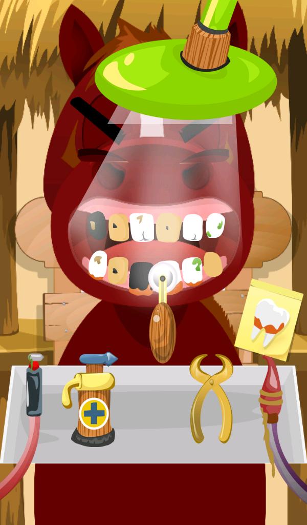 Horse Dentist
